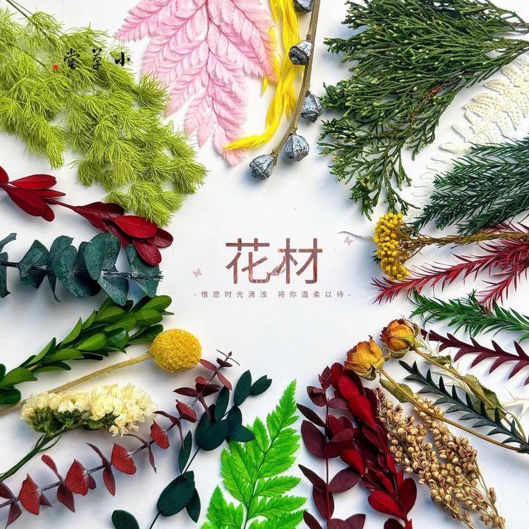 永生花叶子干花装饰摆设复古拍摄道具永生花自然风干干花束