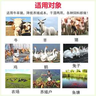 铡草机揉丝粉碎机家用养殖机械多功能切草机干湿两用牛羊秸秆 新款