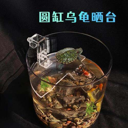 圆缸乌龟晒台圆形爬台晒背爬梯专用壁挂透明养龟造景摆件休息浮台