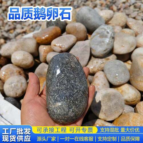 8-12cm鹅卵石庭院造景工程铺设户外装饰河道固坡变压器鹅卵石