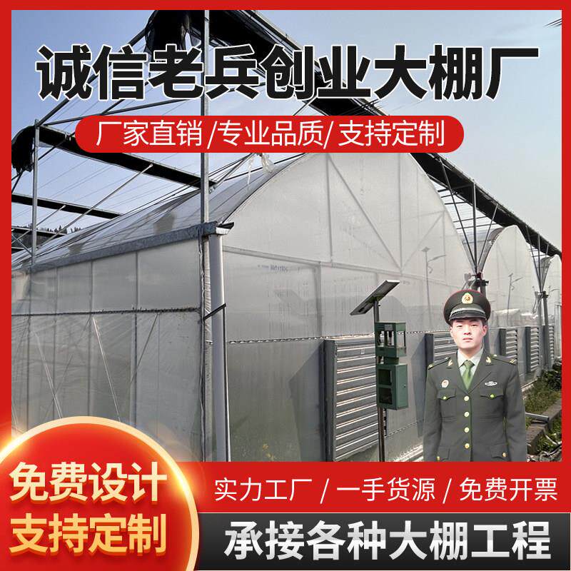 外遮阳连栋大棚连体种植大棚养殖大棚大棚骨架定制智能玻璃温室棚