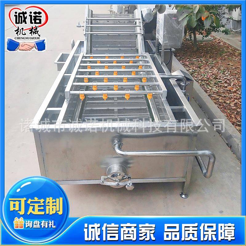 全自动水果蔬菜气泡清洗机菌菇净菜清洗设备小龙虾喷淋清洗机