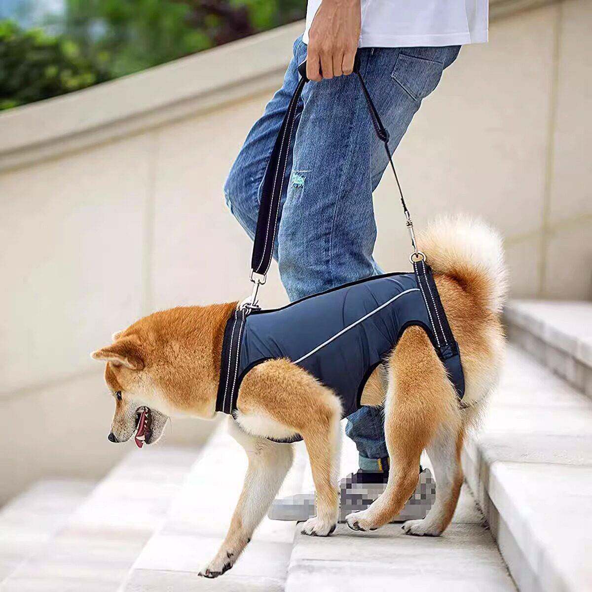 宠物狗狗辅助衣高龄犬身心障碍老年狗受伤外出行走障碍助力带中小