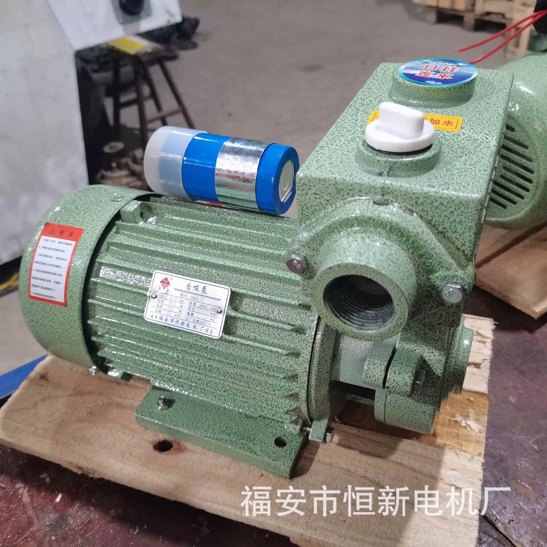 15K自吸泵家田用水泵25DBZ-60家庭供水溉家用水.塔抽水农灌水井抽