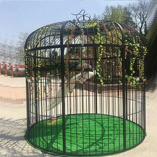 铁超大孔雀装饰鸟笼户外公园大鹦鹉虎皮椋鸟鸽子加网饲养鸟笼