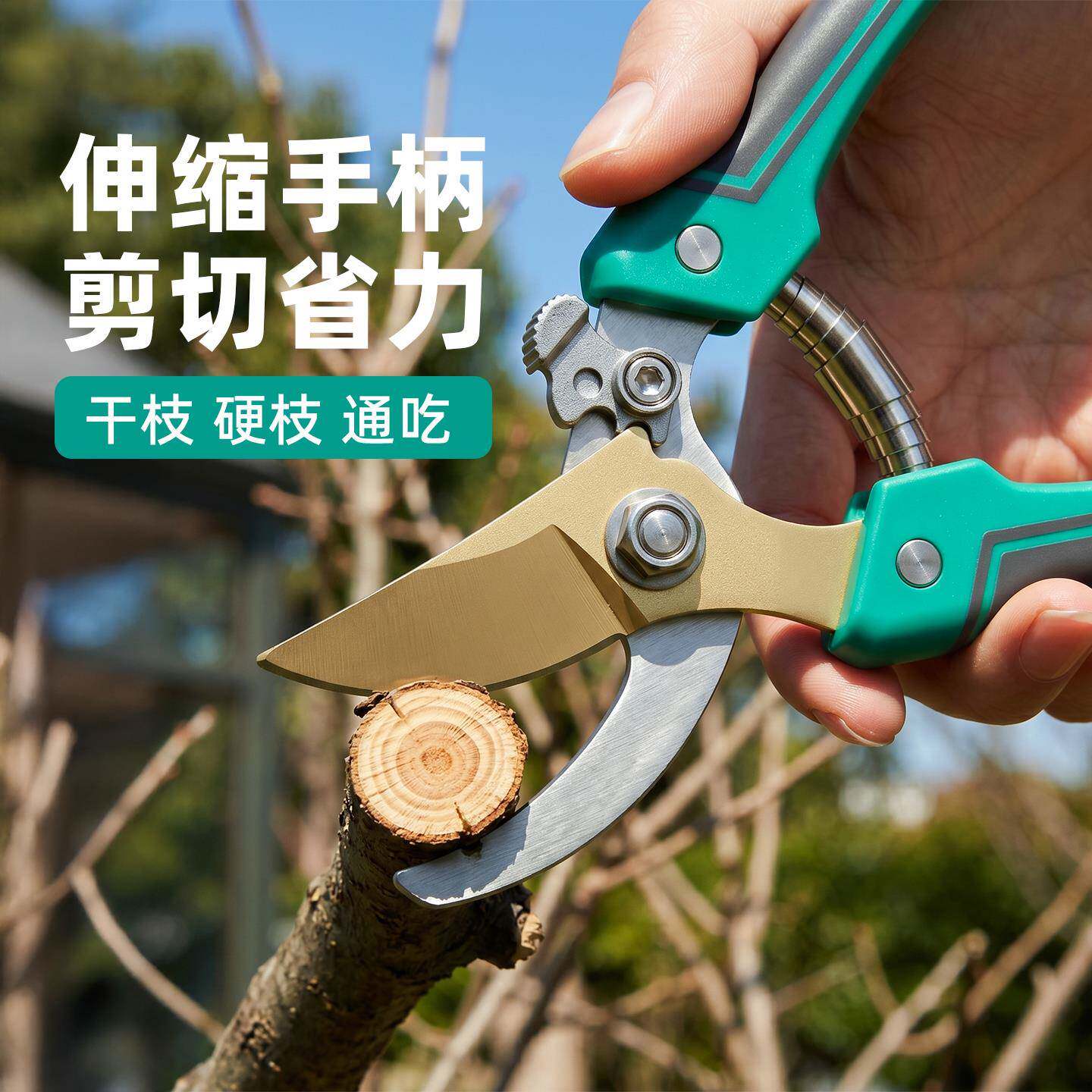 园艺剪刀修枝剪果树剪树枝剪花蔬果专用采果剪刀盆景花艺修剪工具图片