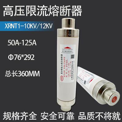 10KV高压限流熔断器XRNT-12KV/125A 160A 200A 250A高分断熔丝管
