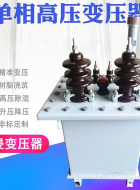单相油浸式变压器10KV变220V远距离送电高压变压器10000V变0.22kv