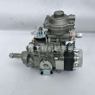 10F1900RND230 VE6 22100 1C080 2331 燃油泵196000 196000 2301