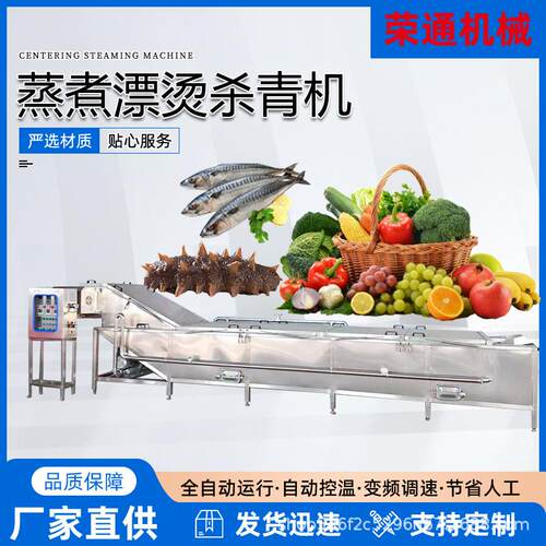 全自动草莓樱桃清洗漂烫设备香菇辣椒杀青护色机鹌鹑蛋定心蒸煮机