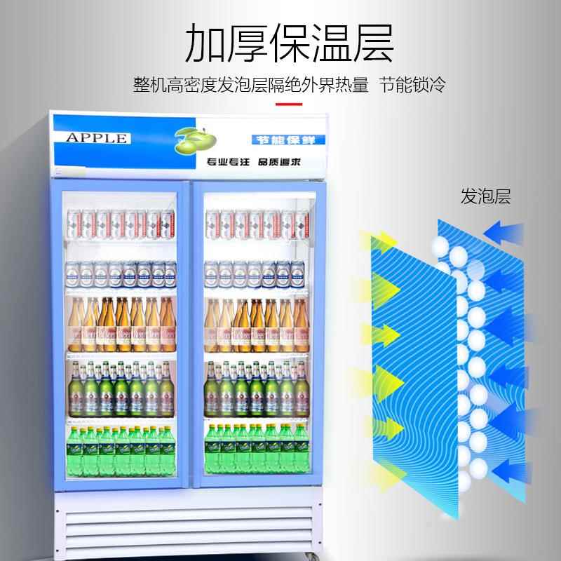 保鲜冷藏展示柜市用式超单门冰箱冰商柜ALD双门水果饮料啤酒冷饮