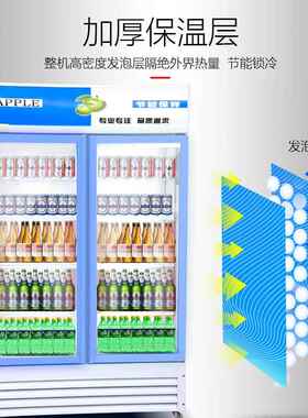 保鲜冷藏展示柜市用式超单门冰箱冰商柜ALD双门水果饮料啤酒冷饮
