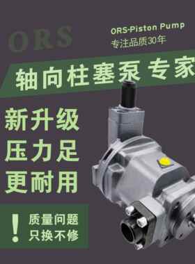 轴向柱塞泵HY80Y-RP 25Y 40Y 10Y 63Y-LP 160Y 250Y-RP恒源油泵
