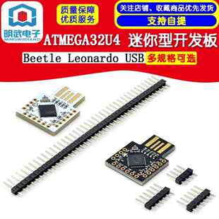 Beetle Leonardo USB ATMEGA32U4 迷你型开发板