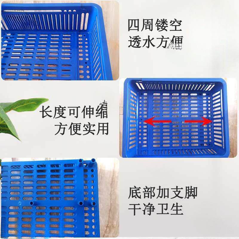 正方型塑料框新款可海鲜花甲盒吐沙贝壳支脚筐透水饭店市场其他