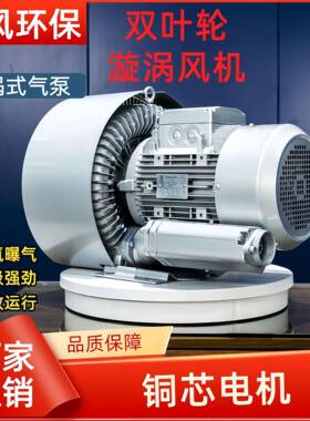 双叶轮压鼓风机RB-82S-3/11Kw真空吸附吸料鼓风机双段旋涡气泵