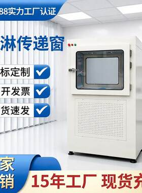 风淋传递窗柜洁净无尘车间风淋传递窗净化设备互锁装置传递窗定制