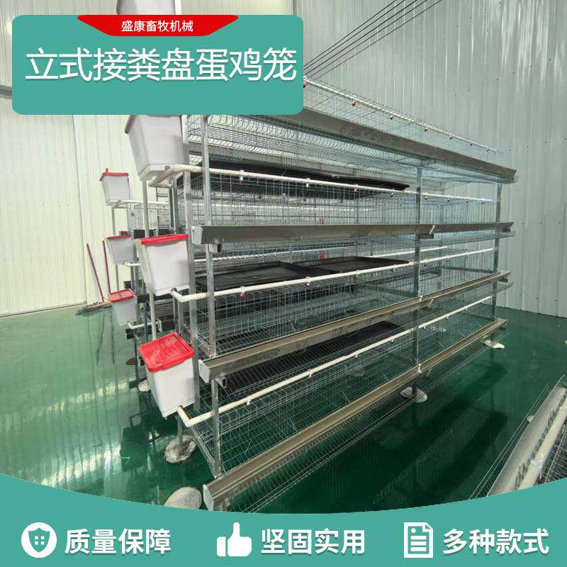 厂家销售鸡舍立式接粪盘蛋鸡笼多层立体养殖笼蛋鸡养殖鸡笼