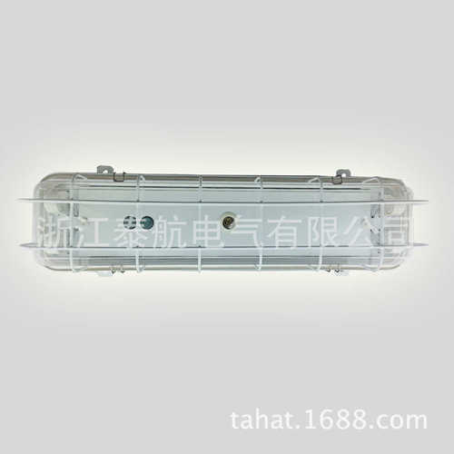 船用荧光舱顶灯ZYC42-2EF ZYC43-2EF   2*40W