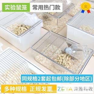 验鼠笼 小鼠笼 大鼠笼 实验室 小白鼠大白鼠 饲养笼子 繁殖笼盒