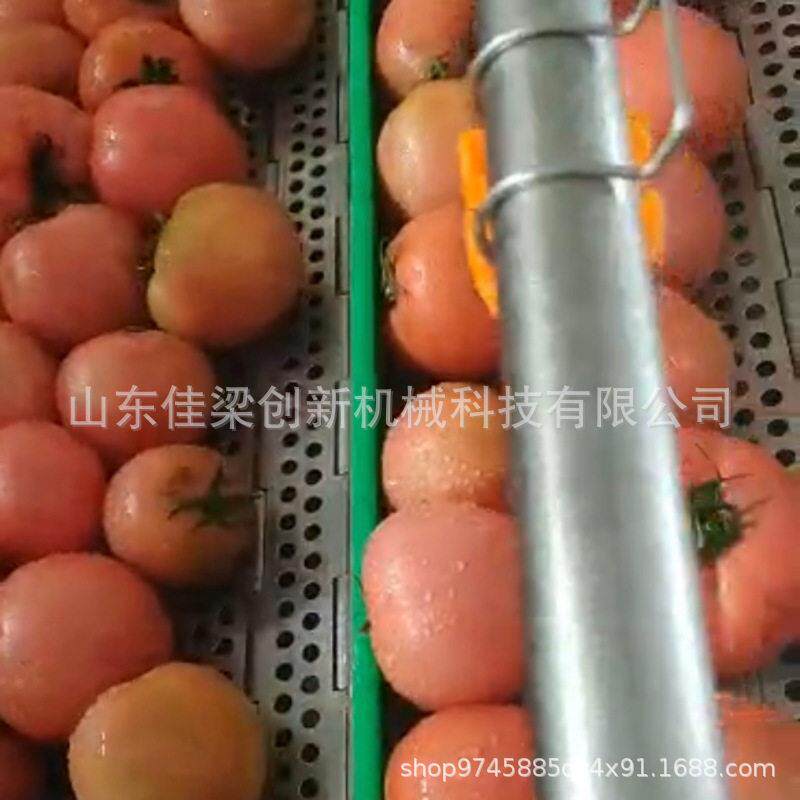 全自动气泡清洗机榨菜凤爪零食包装袋辣椒螃蟹萝卜中草清洗机