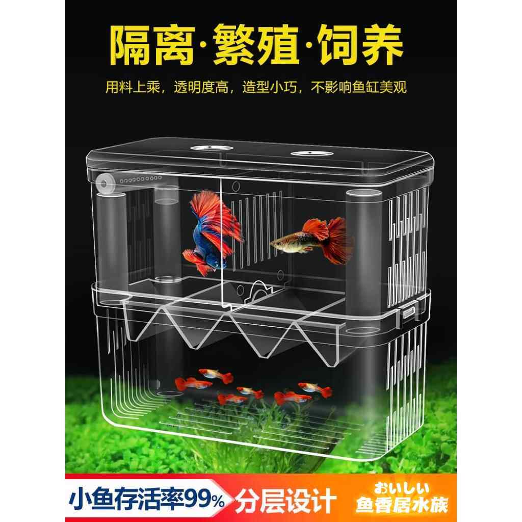 鱼缸隔离盒孔雀鱼孵化盒热带鱼小鱼幼鱼孵化盒特大号大号小号独立