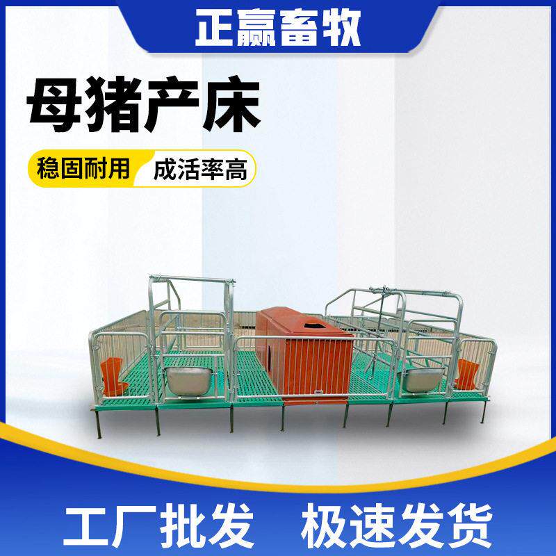 厂家现货母猪产床产保两用双体母猪分娩栏全复合仔猪产床养殖设备