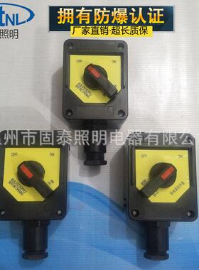 FLM防水防尘防腐照明开关 FZM8050-10A双联防爆防腐照明开关按钮