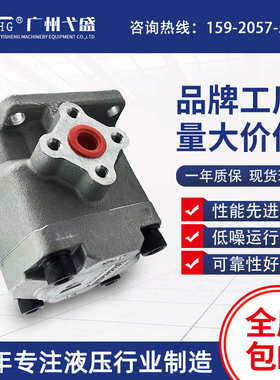 HGP-3A-F25R HGP-3A-F28R/F30R 耐磨耐压电动铸铁齿轮泵抗压