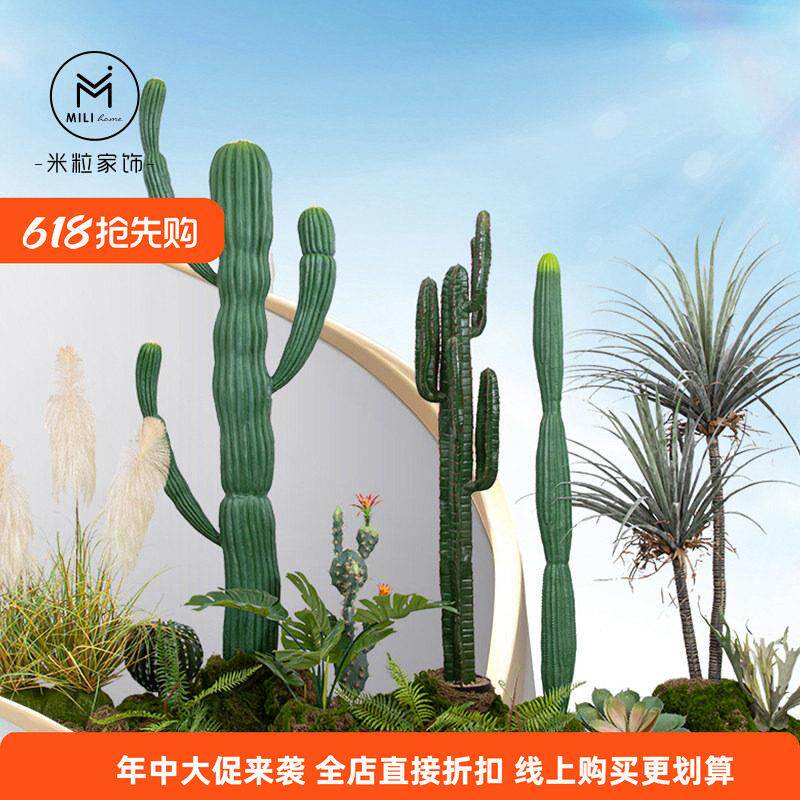 高115cm摩洛哥仙人柱 彷真仙人掌盆栽商用空间绿植造景 展厅民宿