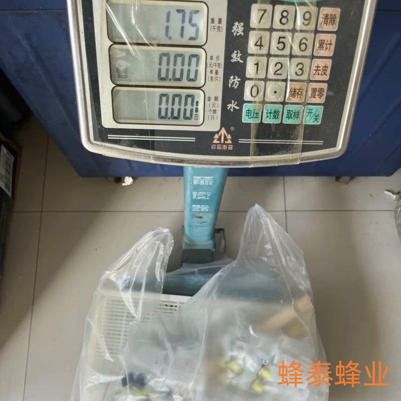 免移虫取浆框意蜂育王器套装控王罩房台底条穿底王台条王浆框