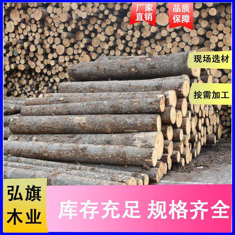 供应柳杉木桩白松落叶松木桩工地河道打桩木护坡整治可剥皮削尖