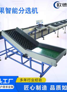牛油果分选机橘子橙子苹果重量多级分拣高效精准度高不锈钢材质