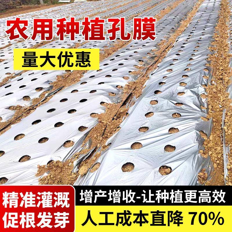 孔地膜农用植种种菜UUL三孔打圆孔小葱银黑色草薄膜辣椒莓种大蒜