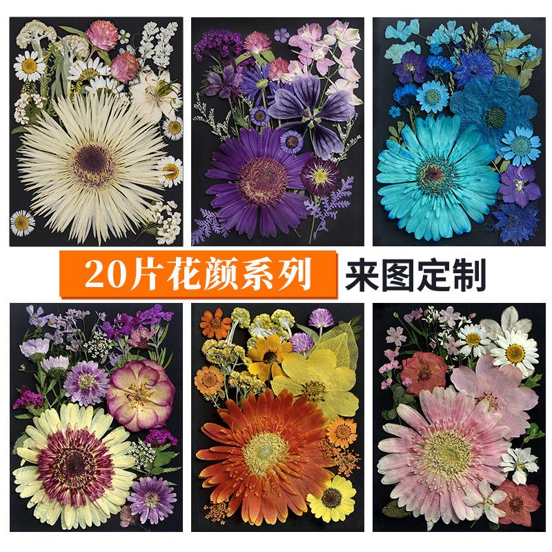干花压花花瓣手工diy相框滴胶押花台灯花材植物标本装饰画材料包