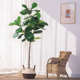 七茉 饰摆件 北欧仿真琴叶榕植物盆栽仿生绿植假树室内落地橱窗装