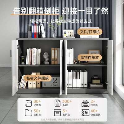 文件柜柜资料柜办公室置物柜案员工柜凭证收纳柜子档储物落地CBG0