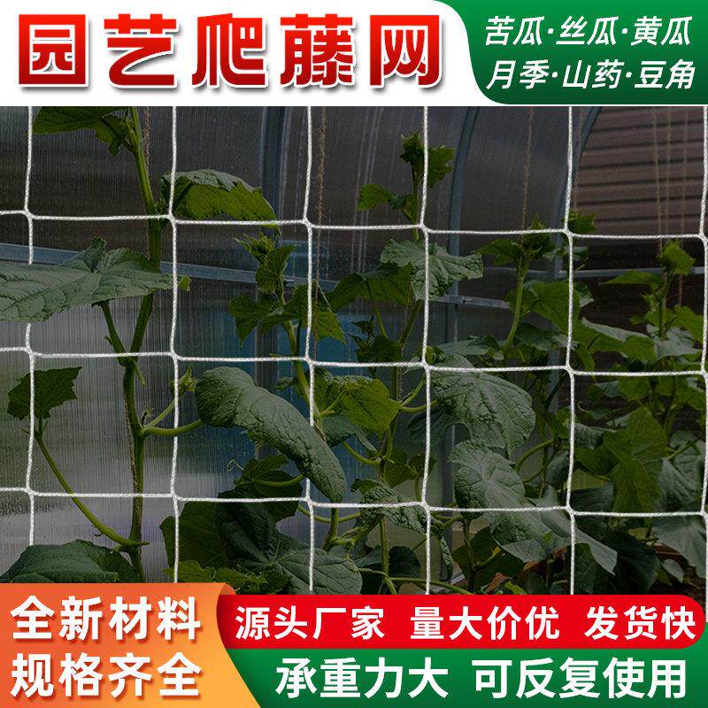 植物爬藤网大棚黄瓜果丝瓜苦瓜月季藤蔓攀爬种植网阳台园艺搭架网