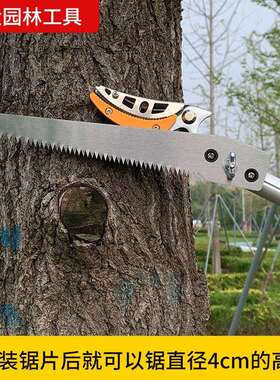 赢大摘果摘果剪伸缩杆修枝神剪高器枝剪荔枝GXX龙眼枇杷高枝摘锯