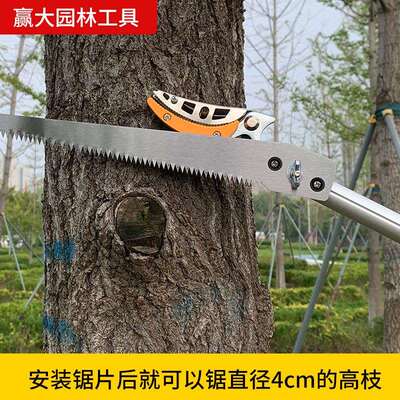 赢大摘果摘果剪伸缩杆修枝神剪高器枝剪荔枝GXX龙眼枇杷高枝摘锯