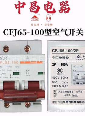 佛山(佳宝)佳华电器CFJ65LE-100系列新型空气开关小型断路器