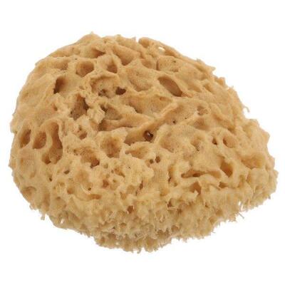 Seaweed Sponge Bath Brush Back Scrubber Loofah Natural Body