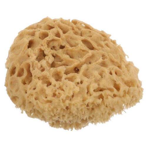 Seaweed Sponge Bath Brush Back Scrubber Loofah Natural Body