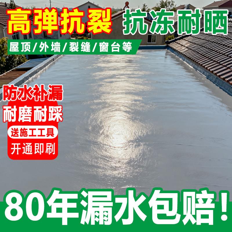 楼顶外墙漏水专用防水材料屋顶裂缝渗水防水涂料屋顶防水补漏材料