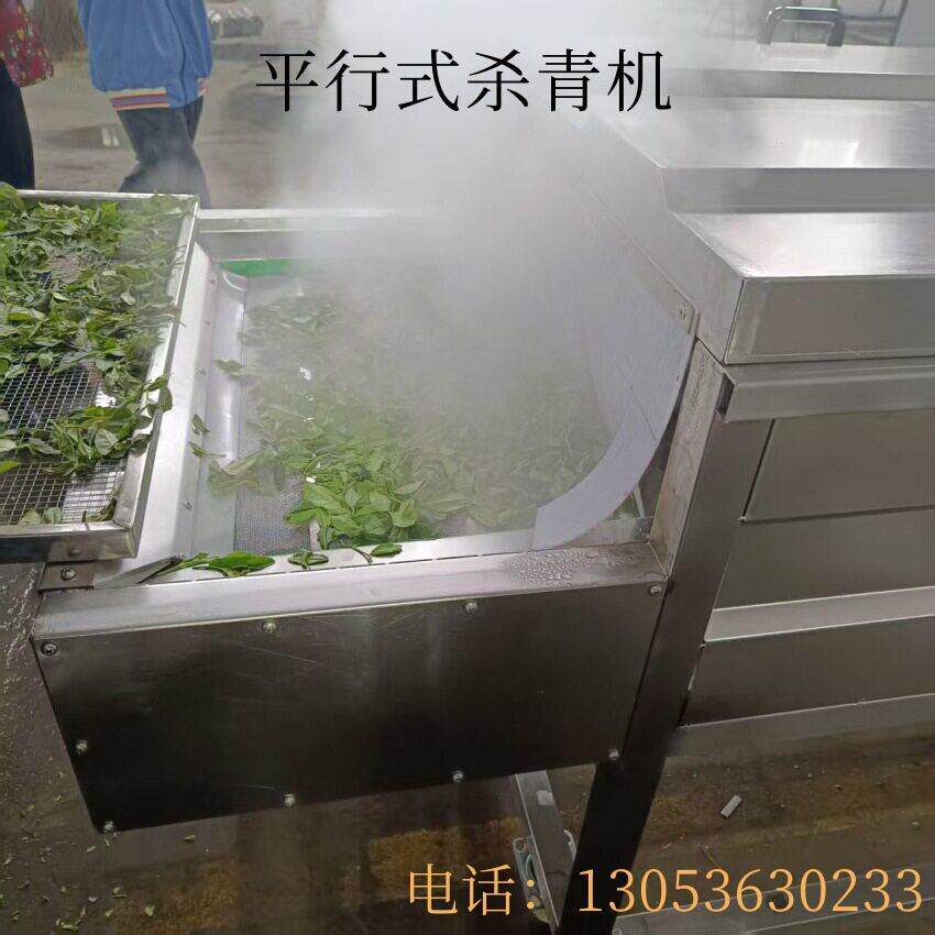 蒸汽网带金银花杀青烘干机 金丝皇菊花 贡菊 杭白菊 绿茶鲜花烘房