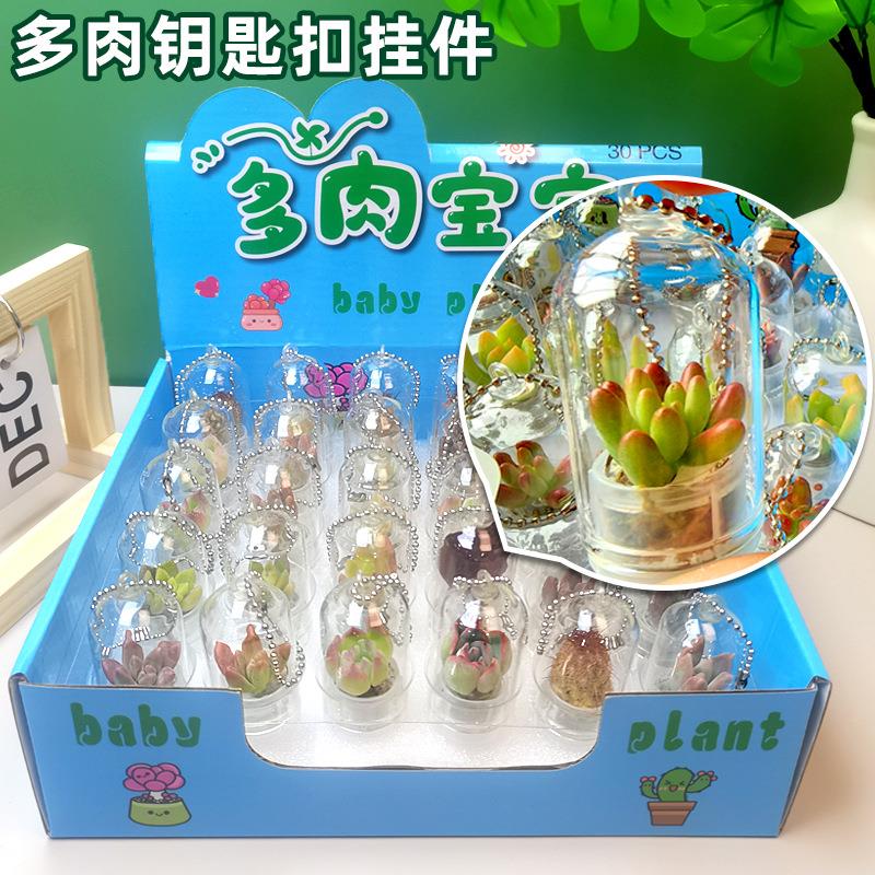 迷你多肉植物挂件创意小盆栽微缩景观挂件玻璃瓶钥匙扣学生小礼物