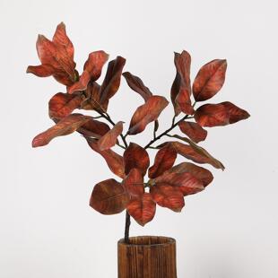 仿真叶玉兰叶 秋色白碗花苞叶装饰树叶子 仿真植物绿植 家居装饰