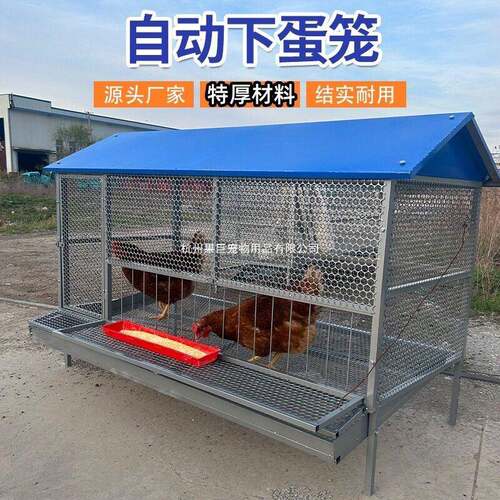 尖顶鸡笼室外饲养笼防鼠黄鼠狼防雨加密加厚鸭鹅兔芦丁鸡养殖笼子