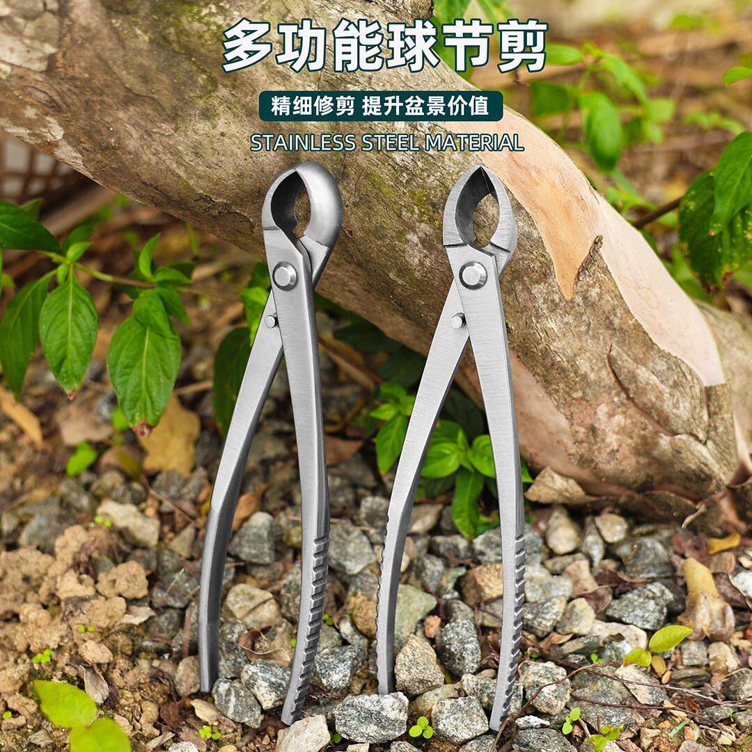 园艺工具不锈钢剪刀园艺剪球节剪叶芽剪嫩芽剪刀插花盆景枝叶剪