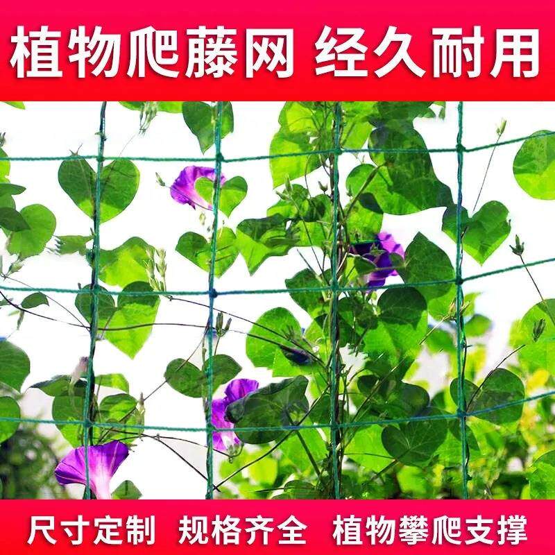 园艺爬藤网 百香果葡萄植物攀爬瓜果藤蔓花卉尼龙网豆角牵藤搭架
